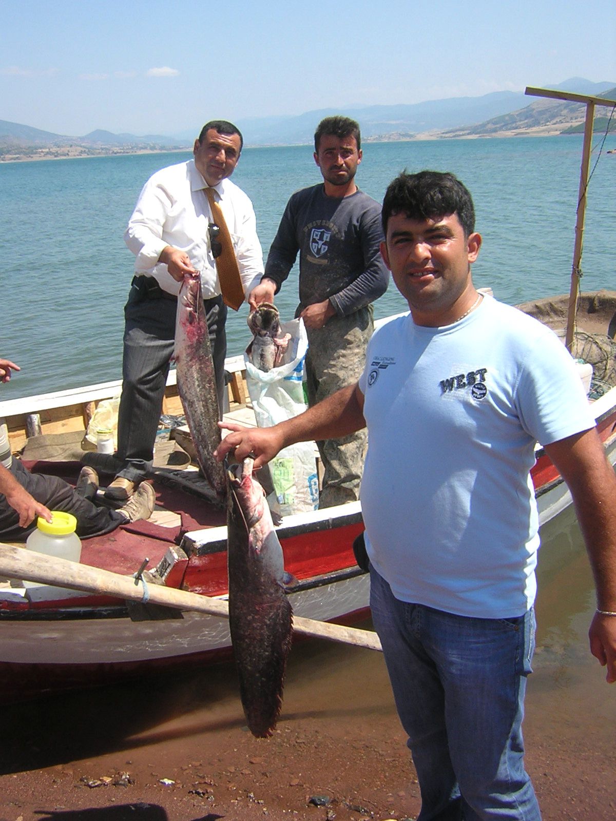 Almus Barajı'nda Yayın Balığı Revaçta