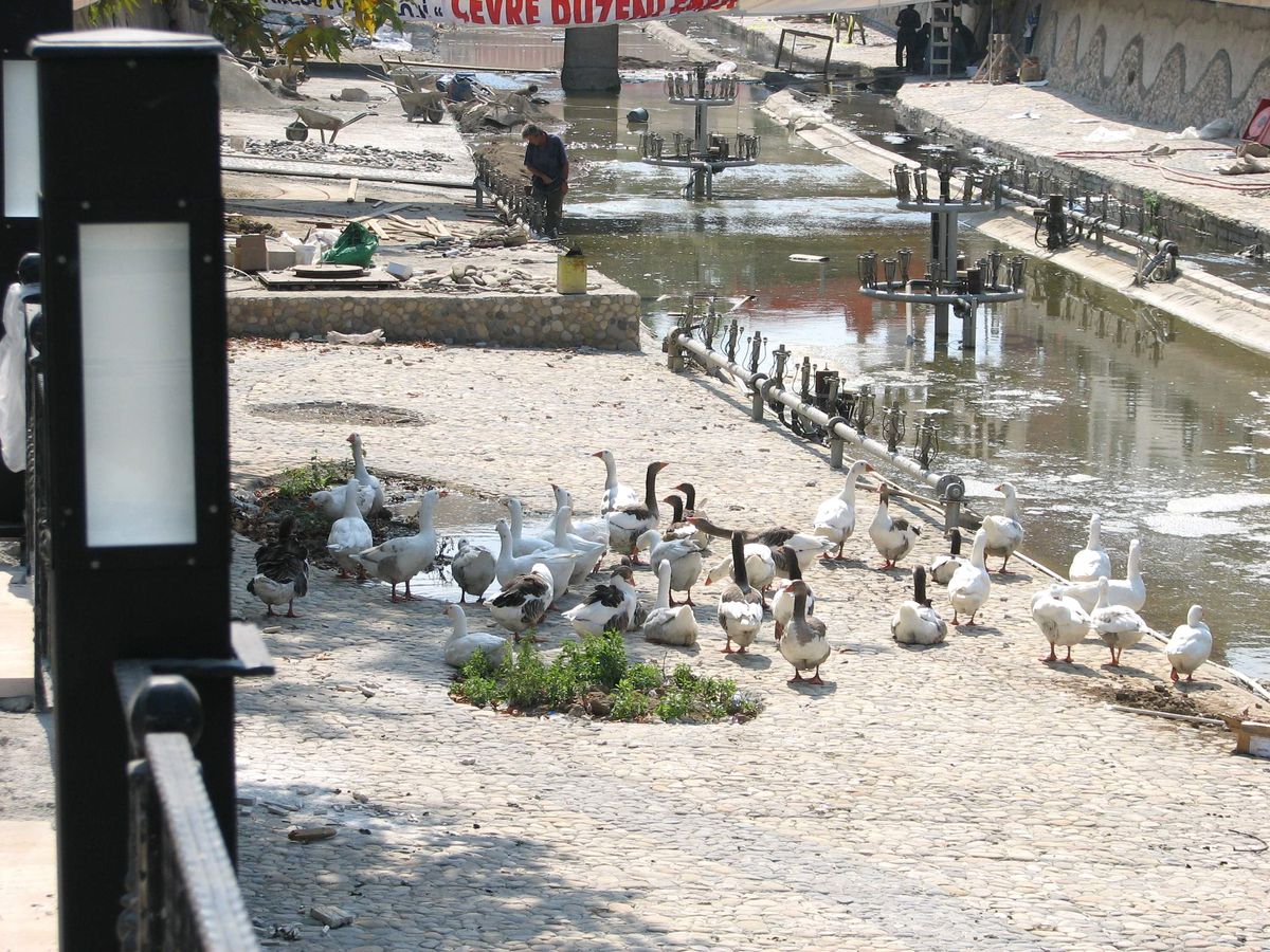 Ordu'da Bülbül Deresi Çalışmaları