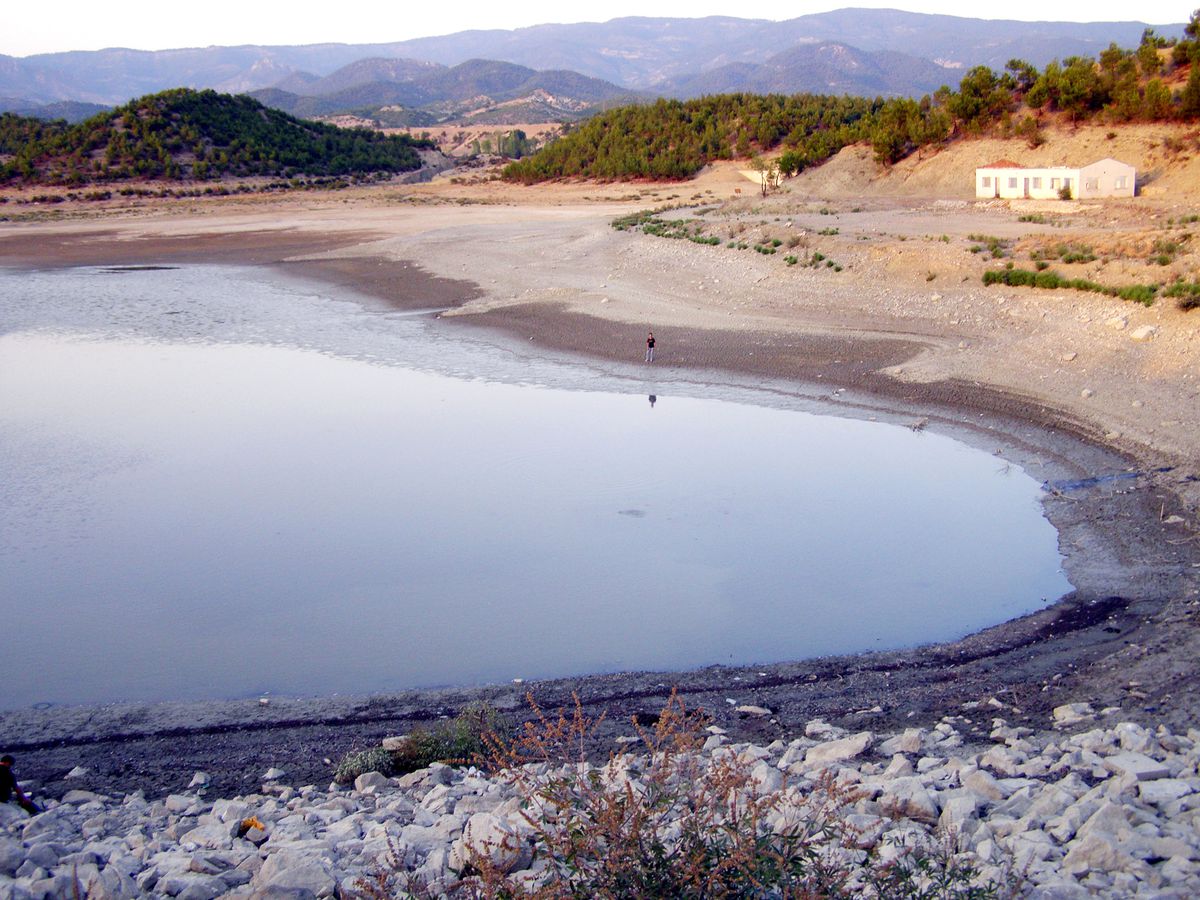 Sinop'ta Toplu Balık Ölümleri