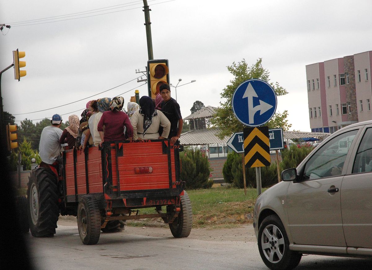 Traktör Römorkunda Tehlikeli Yolculuk