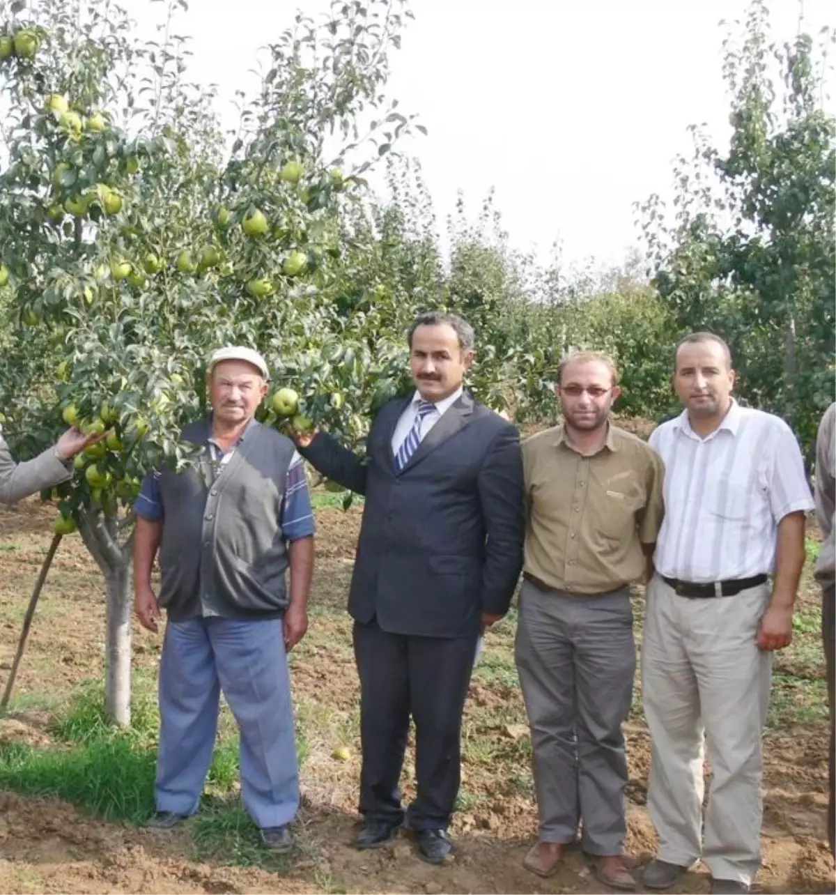 Deveci Armudu Üreticinin Yüzü Güldürdü