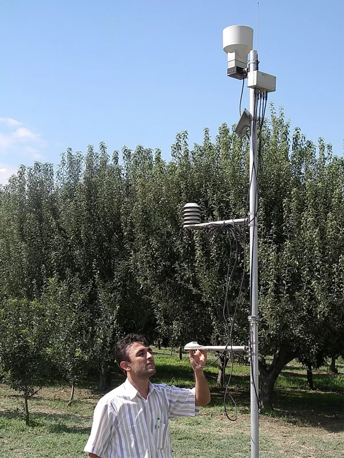 Tarım İl Müdürlüğünden Meyvecilikte Tahmin ve Erken Uyarı Çalışmaları