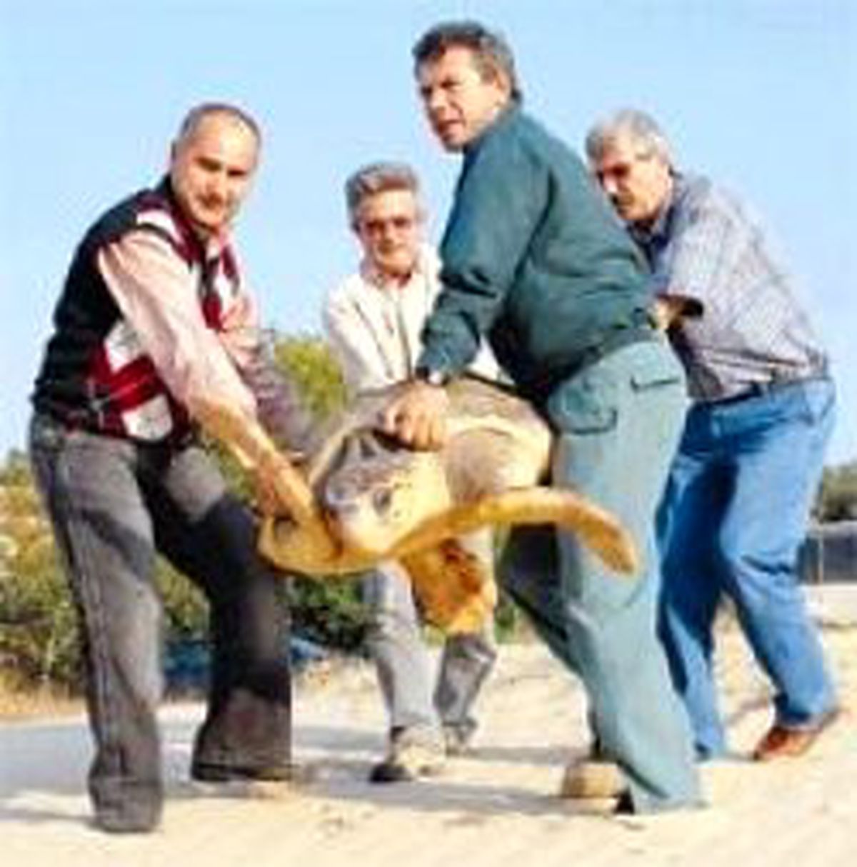 Caretta Operasyonu