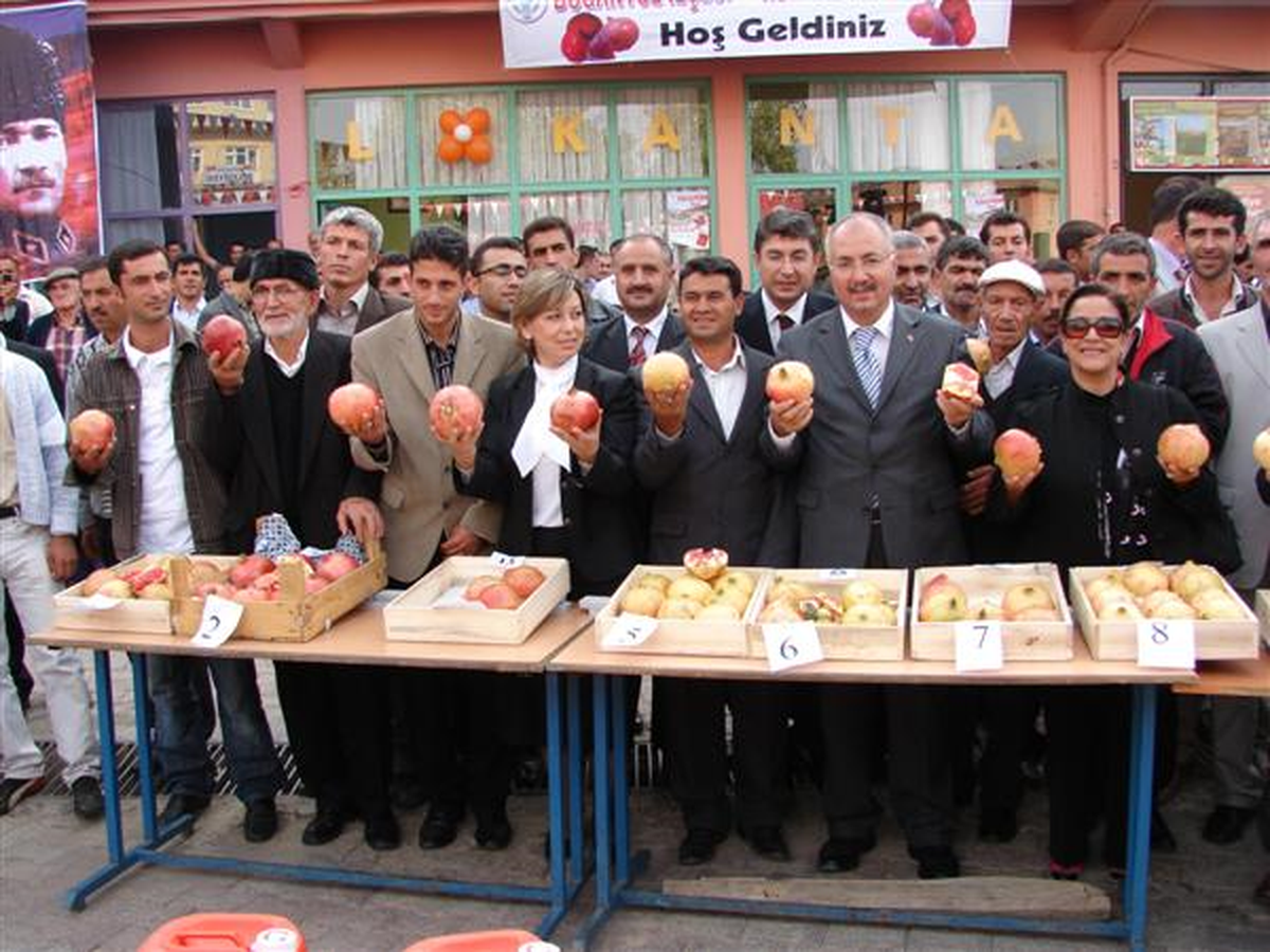 Malatya'da Nar Üretimi