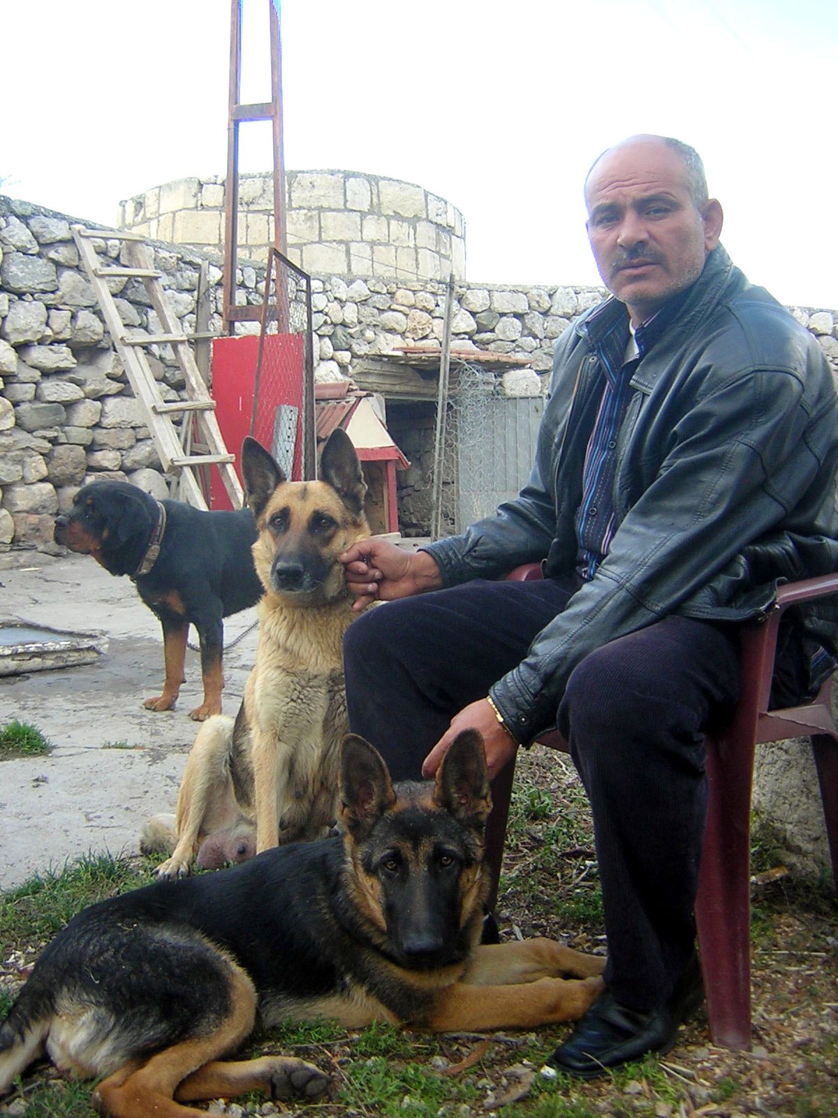 Zile Kalesi Sezar'a Emanet