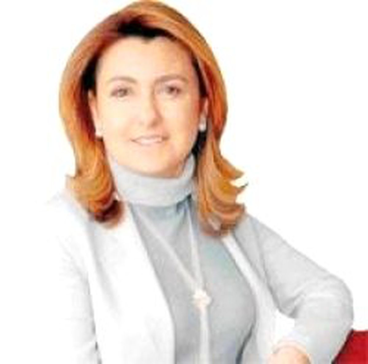 Tüsiad, Prodi'den Destek İstedi