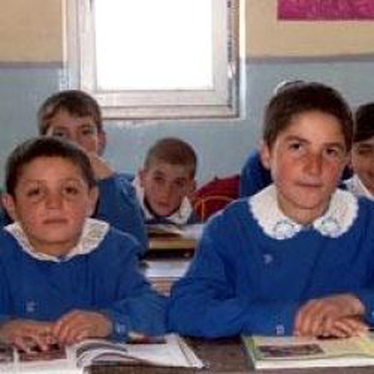 Amca Yeğen Aynı Sırada