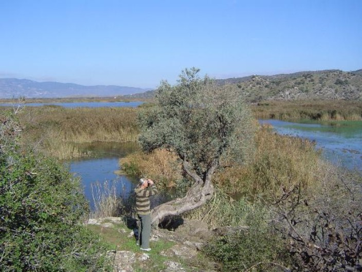 Azap Gölü Canlanıyor