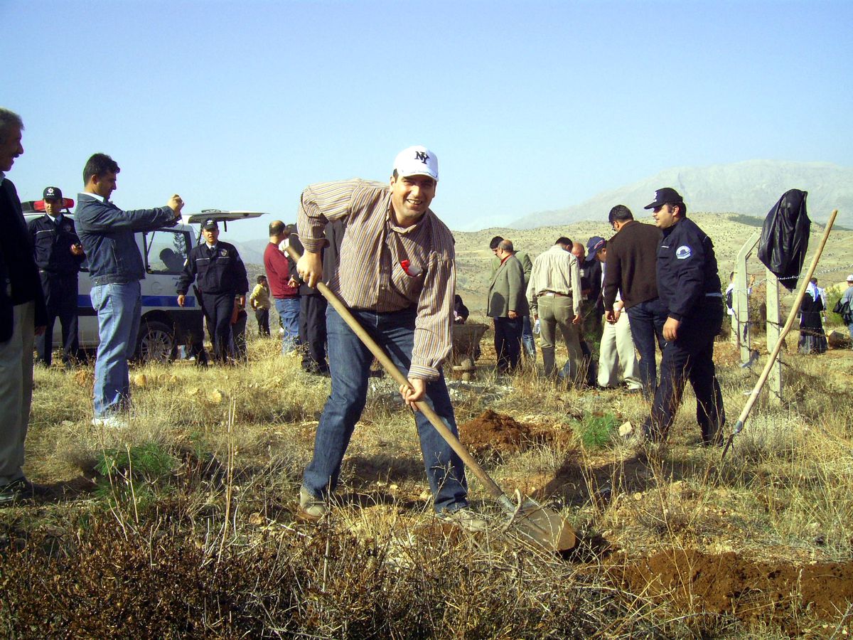 Gölbaşı İlçesinde 31 Bin Adet Fidan Dikildi