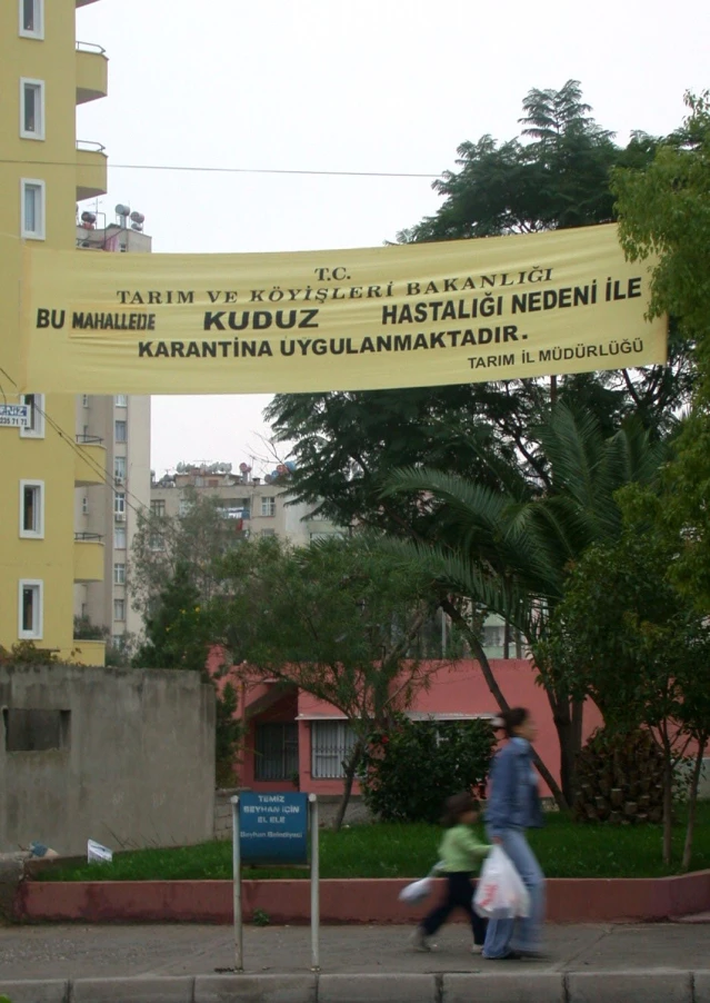 Adana’da kuduz vakası karantinaya alınan mahallede vatandaşlar endişeli