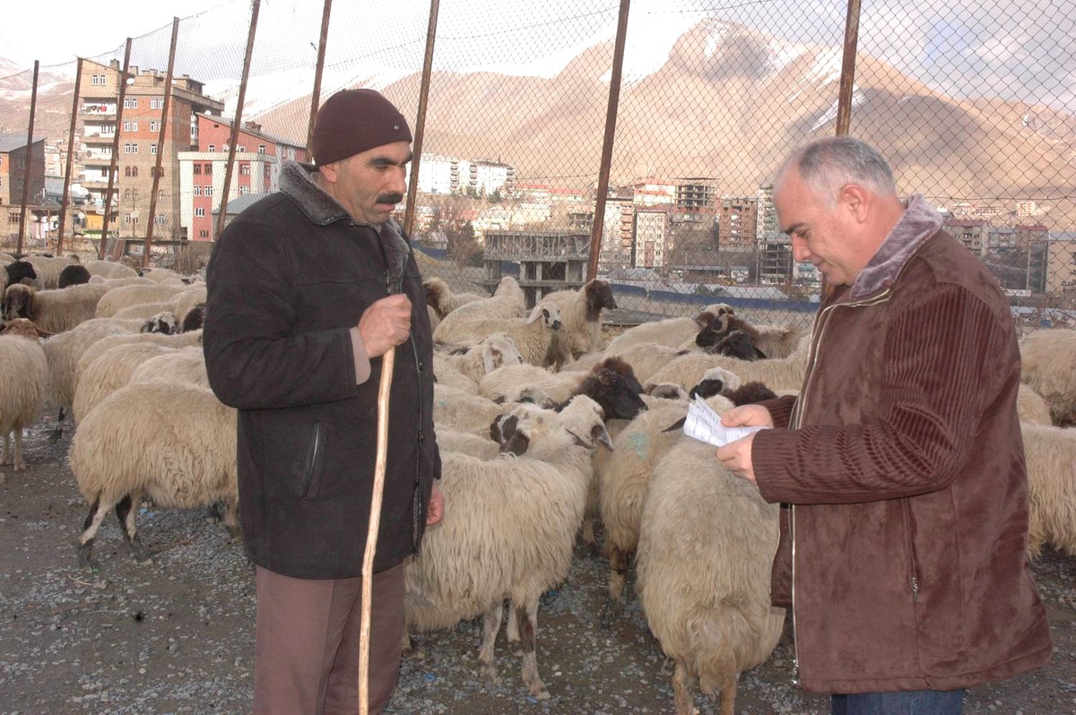 Hakkari'de Kurbanlık Satışları Sıkı Denetime Alındı