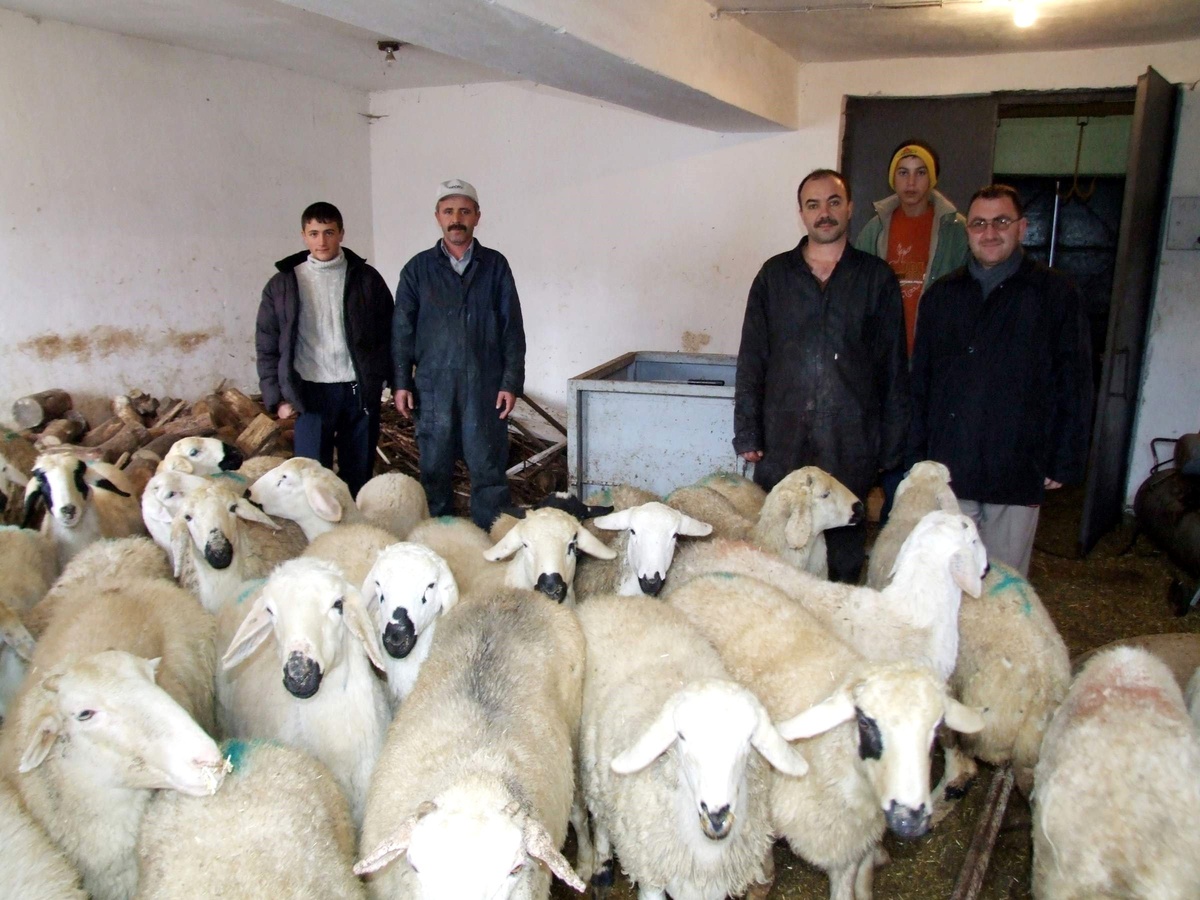 Akıncılar Derneğinden 100 Vatandaşa Kurban Dağıtımı Yapıldı