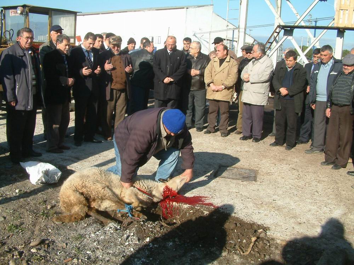 Burhaniye Tariş'te Kapasite Bir Misli Artırıldı