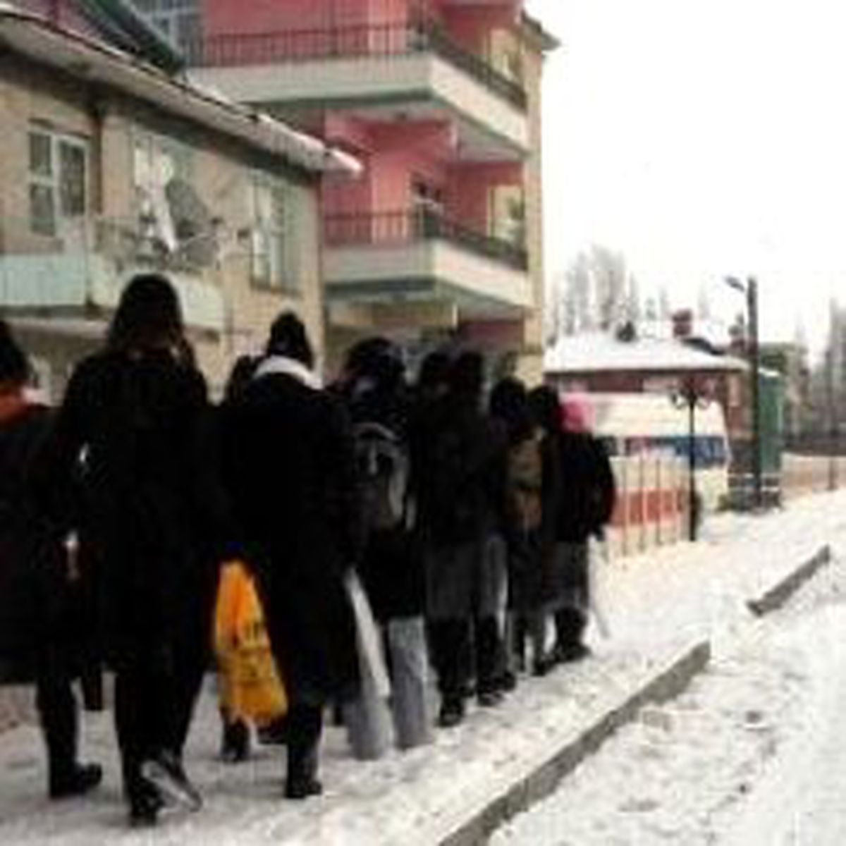 'Haydi Kızlar Kocaya'