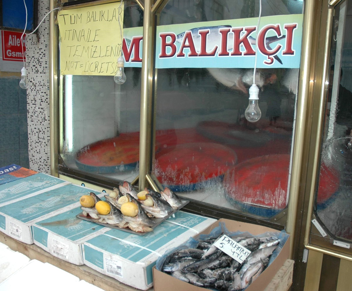Balık Fiyatları Arttı