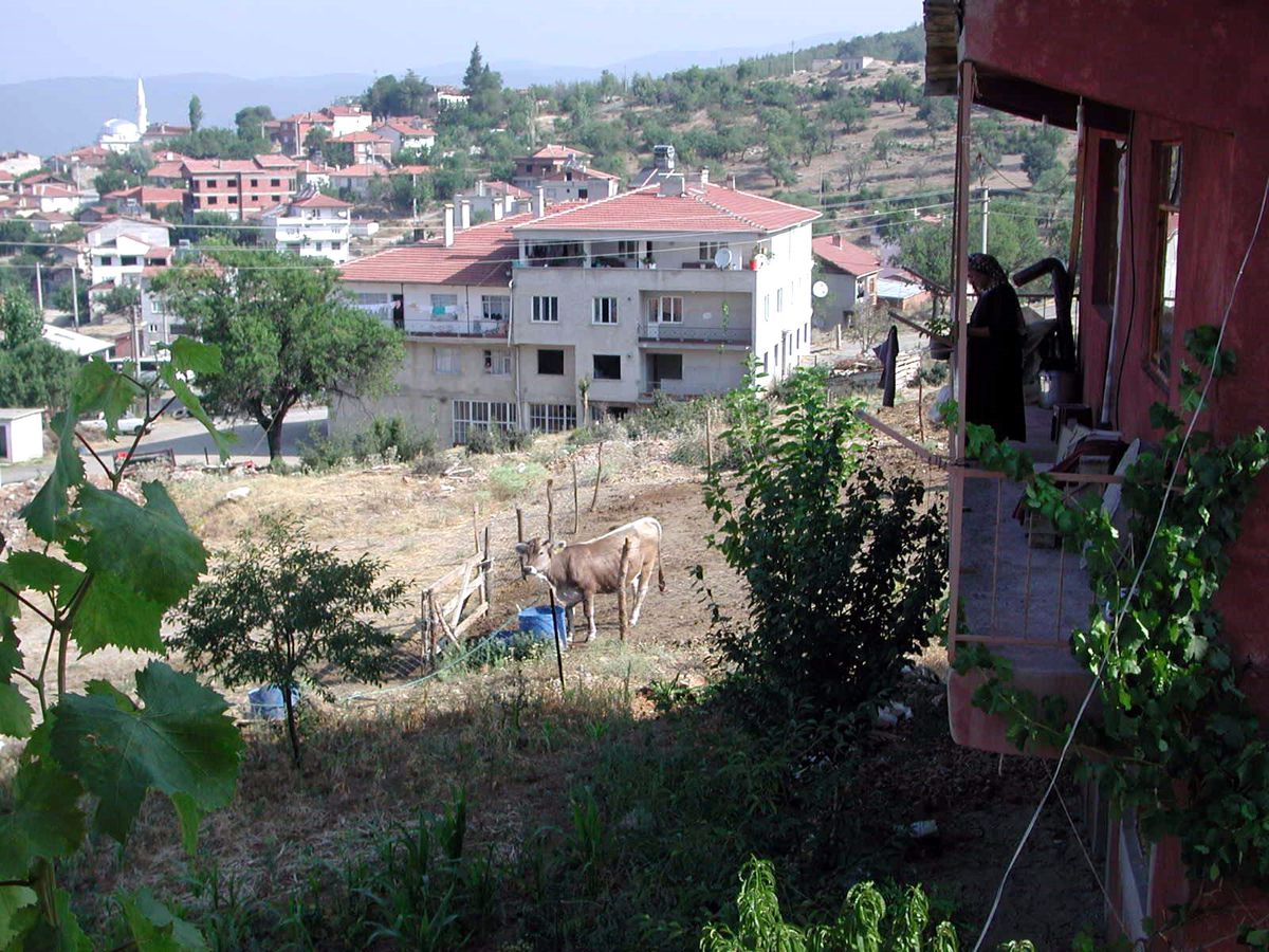 Orhaneli Şehir Merkezi Köyleri Aratmıyor