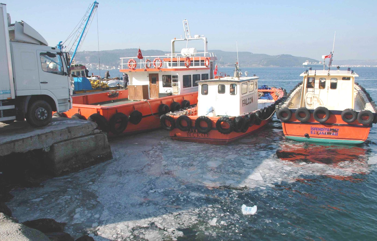 Çanakkale Boğazı'nda Deniz Kirliliği Had Safhaya Ulaştı