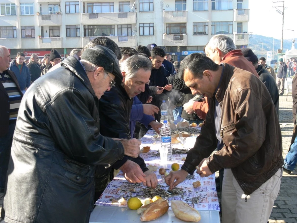 Samsun\'da Hamsi Festivali