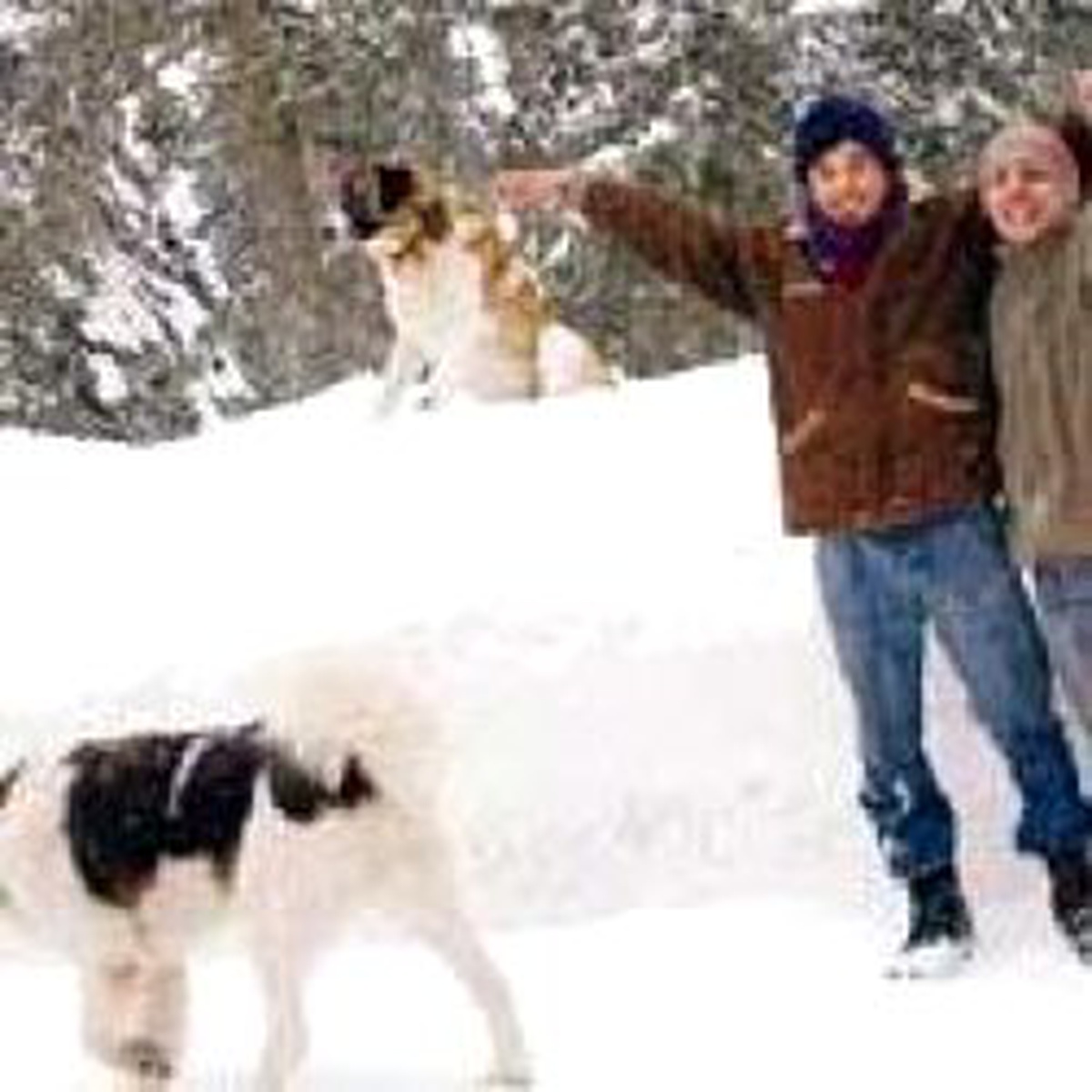 Ilgaz'ın Güzelleri 45 Gün Arayla Öldü
