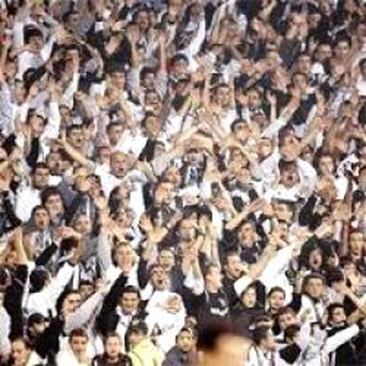 Beşiktaş Taraftarına Hoşgörü Ödülü