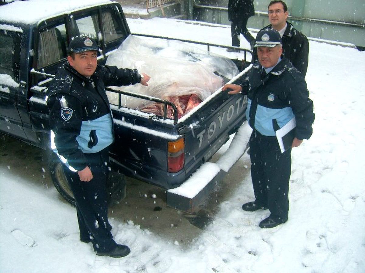 Gediz Zabıtasından 'Kaçak Et' Operasyonu