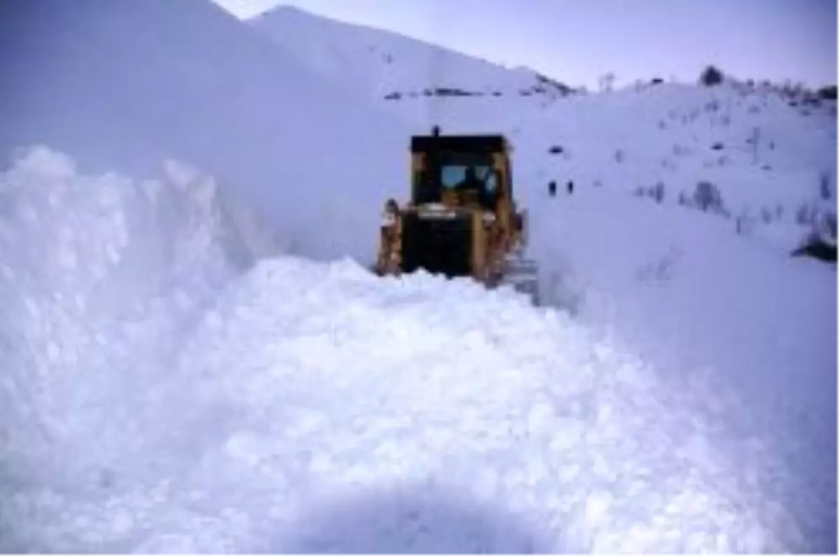 Hakkari\'de Karla Mücadele Ekibi Engel Tanımıyor