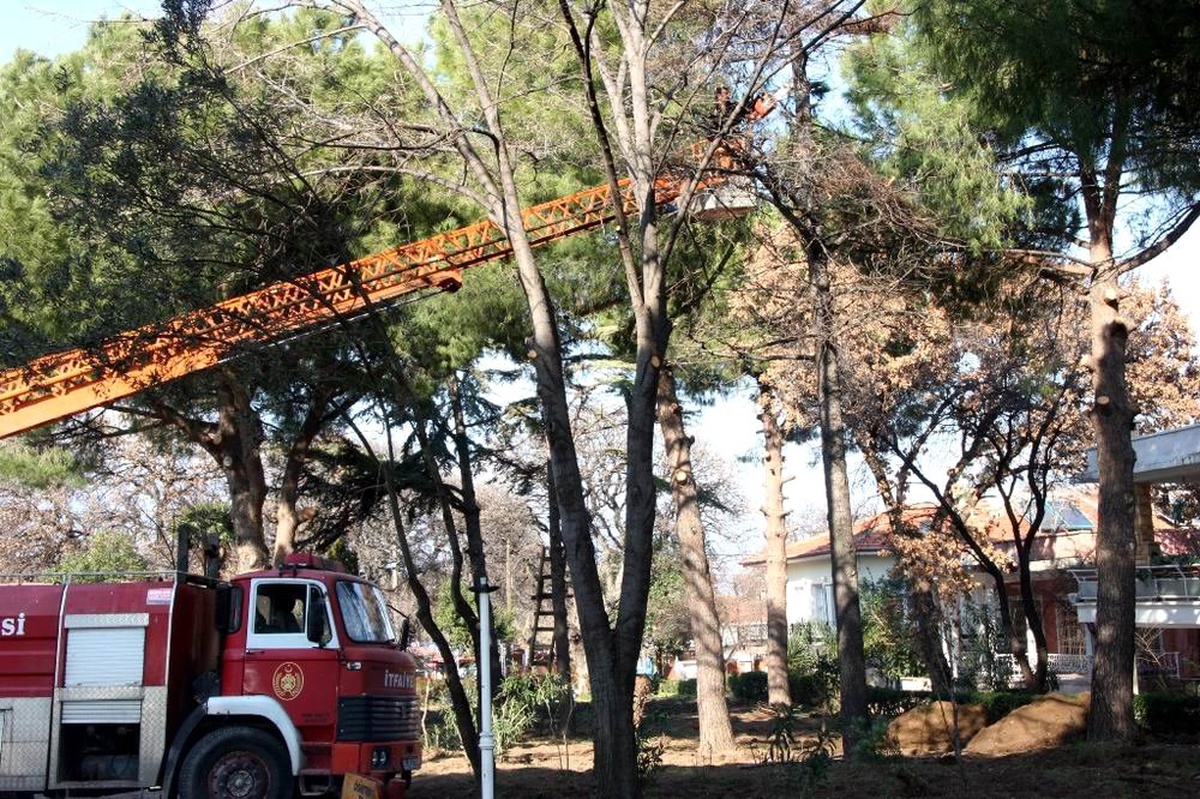 Burhaniye Belediyesi Bahar Hazırlıklarına Başladı