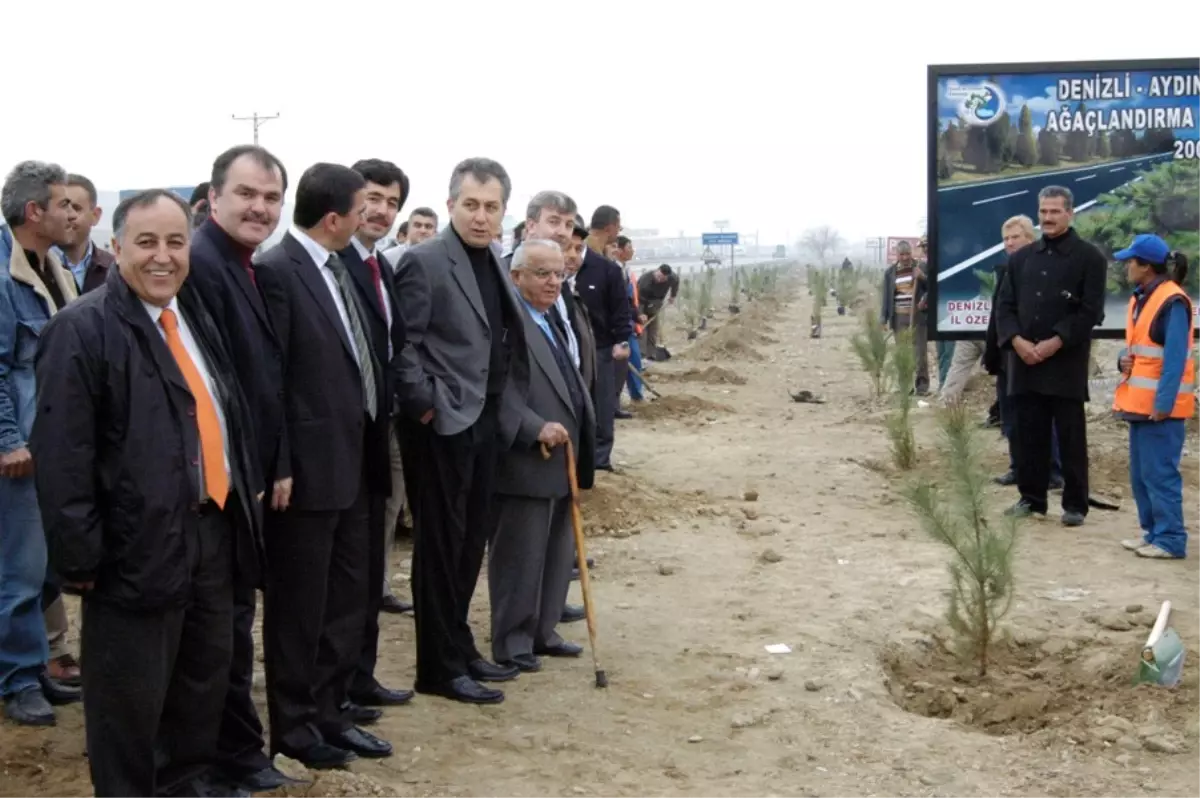 Denizli-aydın Yolunda Ağaçlandırma Çalışmaları Başladı