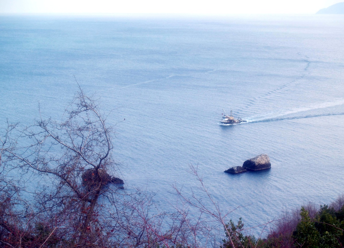 Karadeniz'de Kaybolan Gemiye Ait Parçalar Bulundu