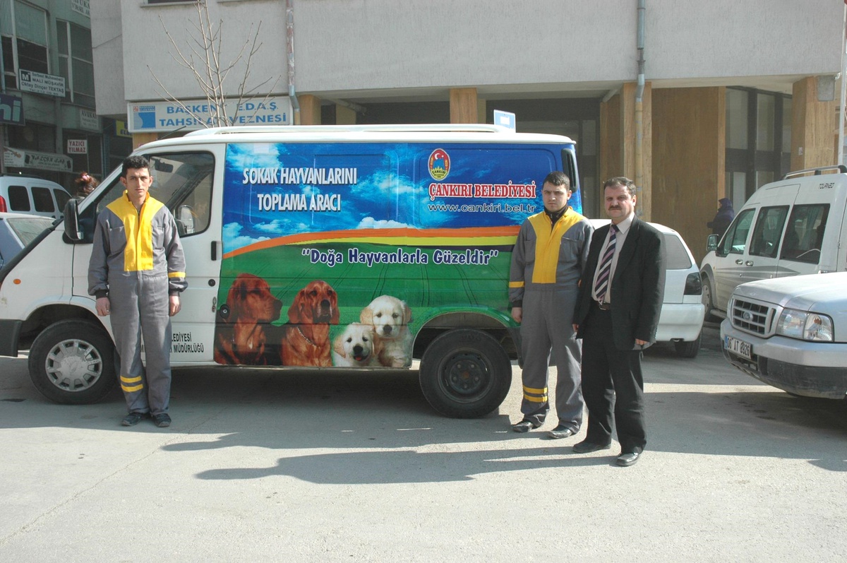Çankırı Belediyesi Başıboş Köpekleri Toplamak İçin Araç Kiraladı