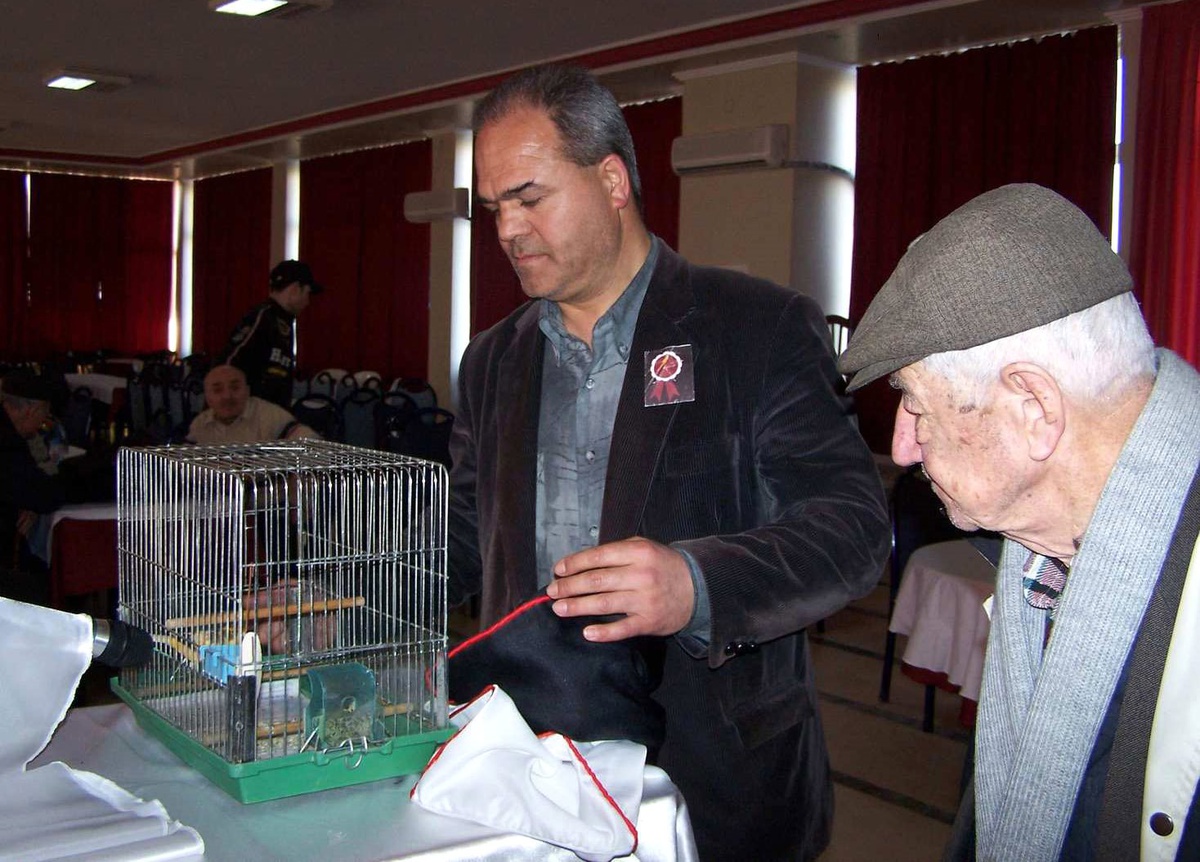 Bandırma'da 'Bülbül Ötümlü Kanarya' Yarışması