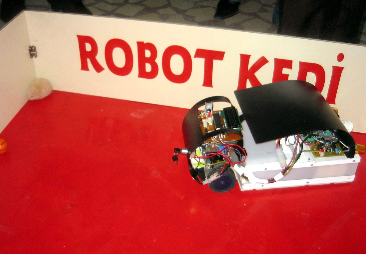 Kedi Robot