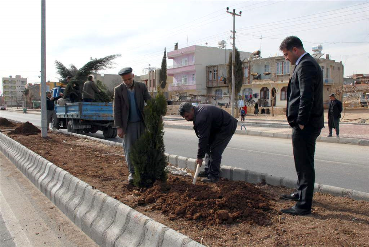 Adıyaman Yeşillendiriliyor