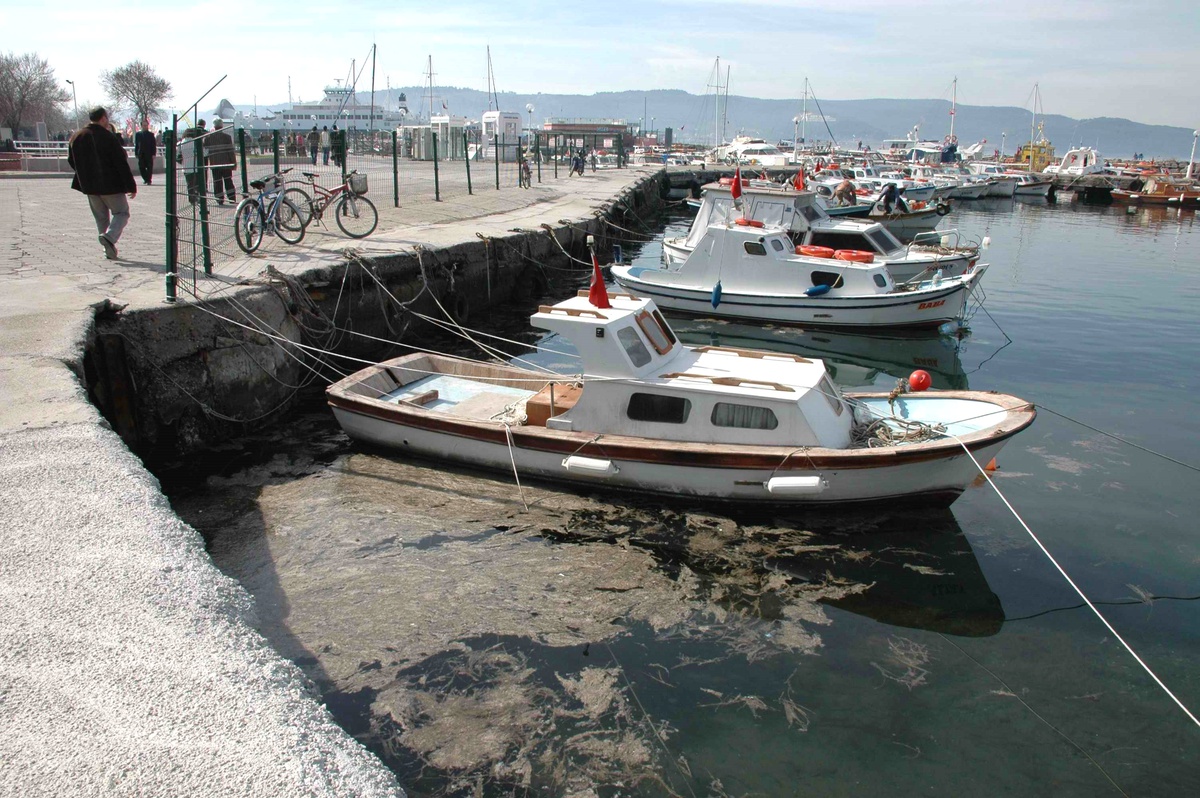 Çanakkale'de Kordon Boyunda Deniz Çöplüğe Döndü