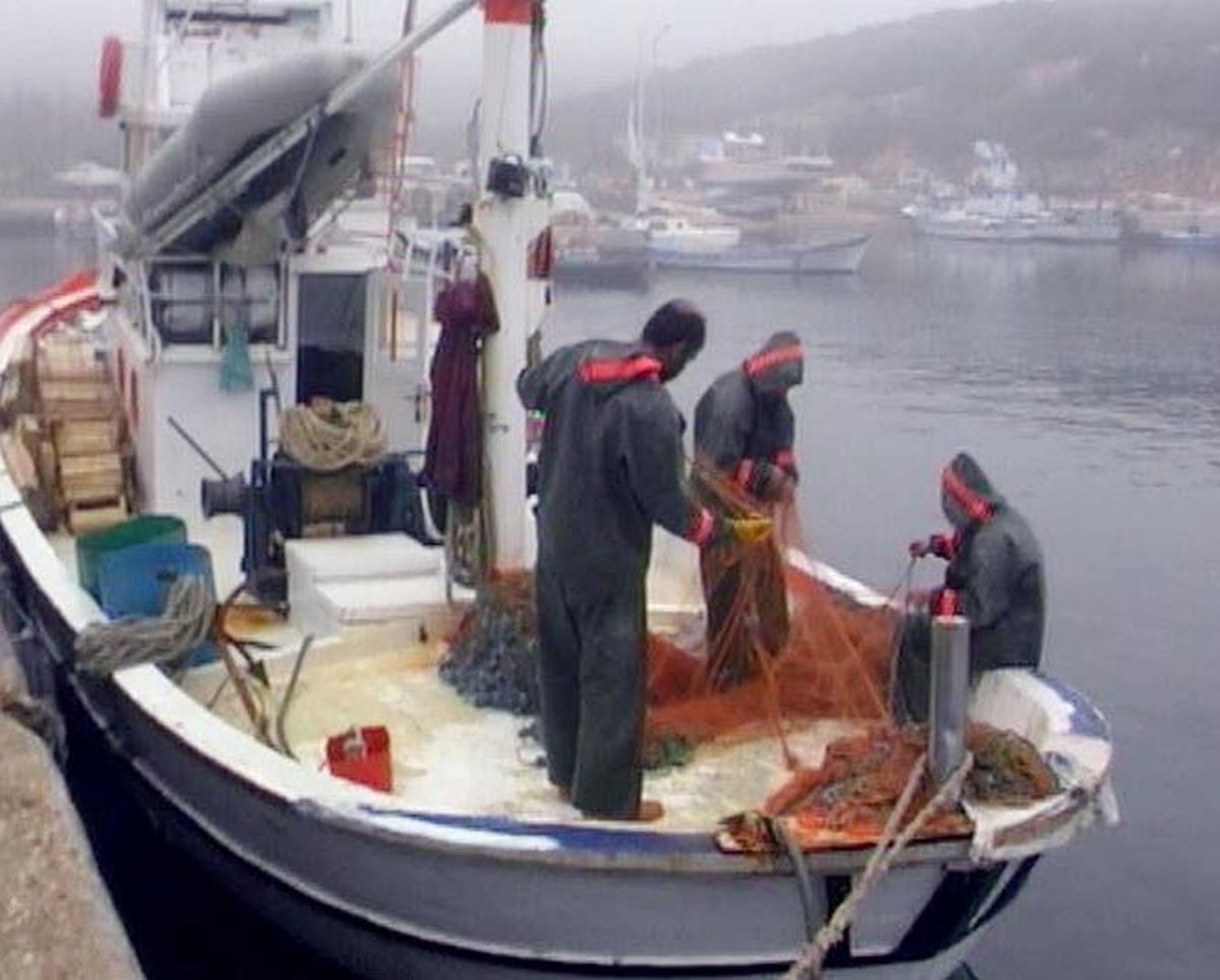 Saros\'ta Balıkçıların Ağlarını Dolduran Çamur Depremin Habercisi mi ?