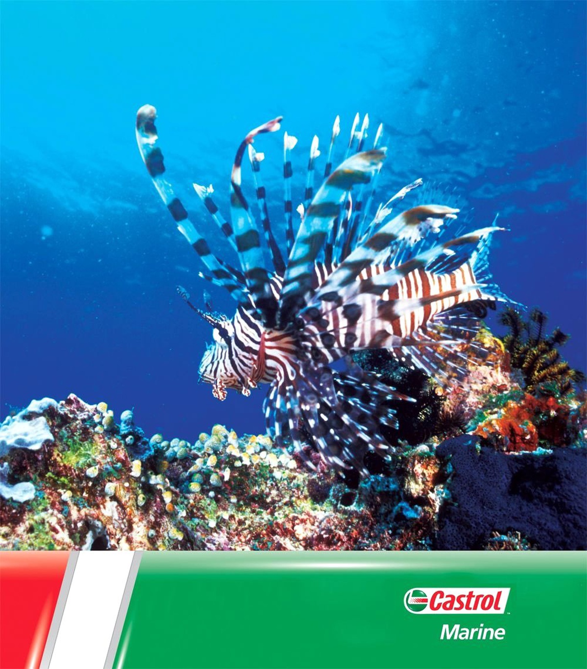 Castrol Marıne\'den, Biyolojik Olarak Parçalanabilen Gemi Yağlarından Oluşan Ürün Yelpazesi