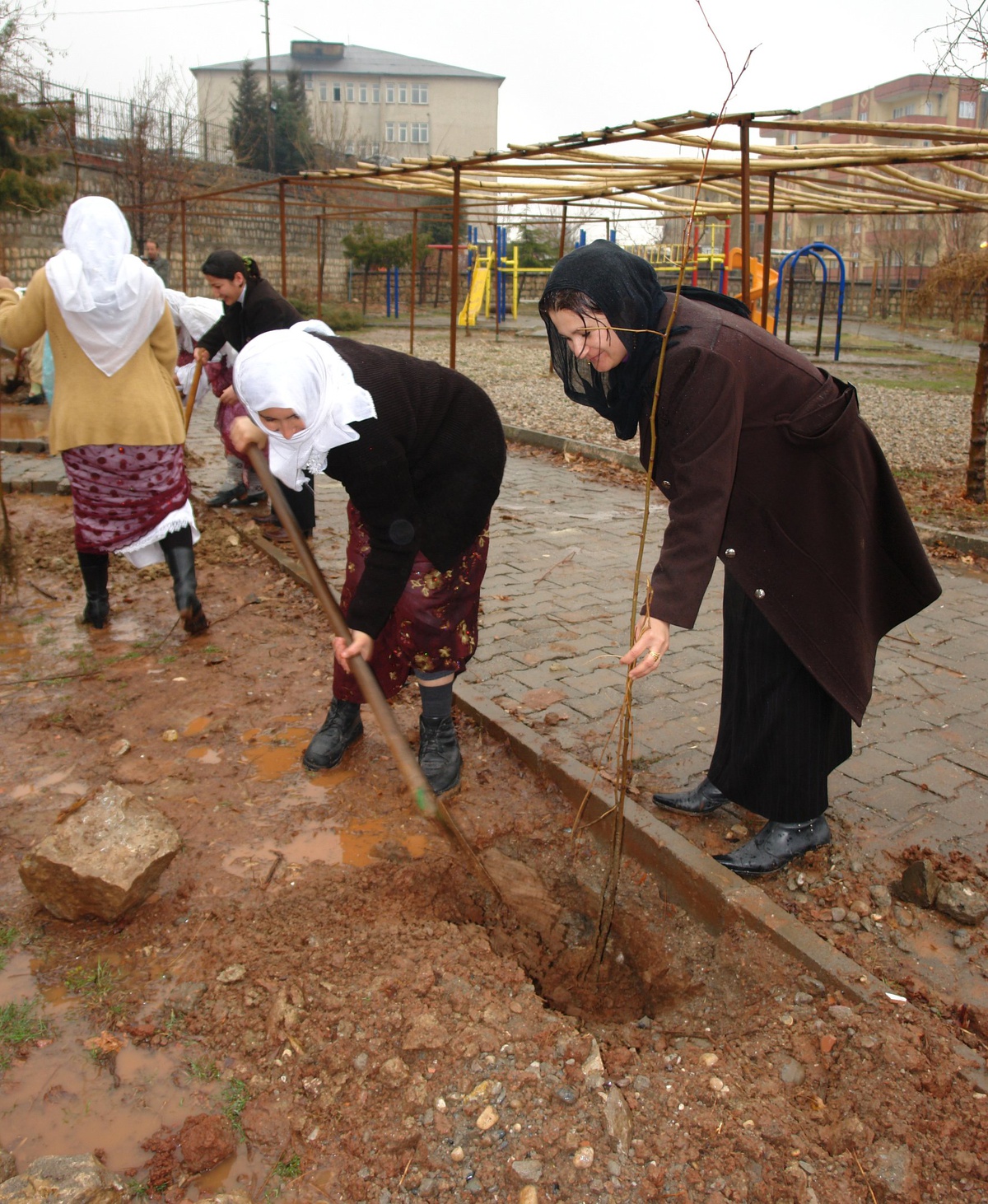 Şırnak\'ta \'8 Mart Dünya Kadınlar Günü\' Etkinliği