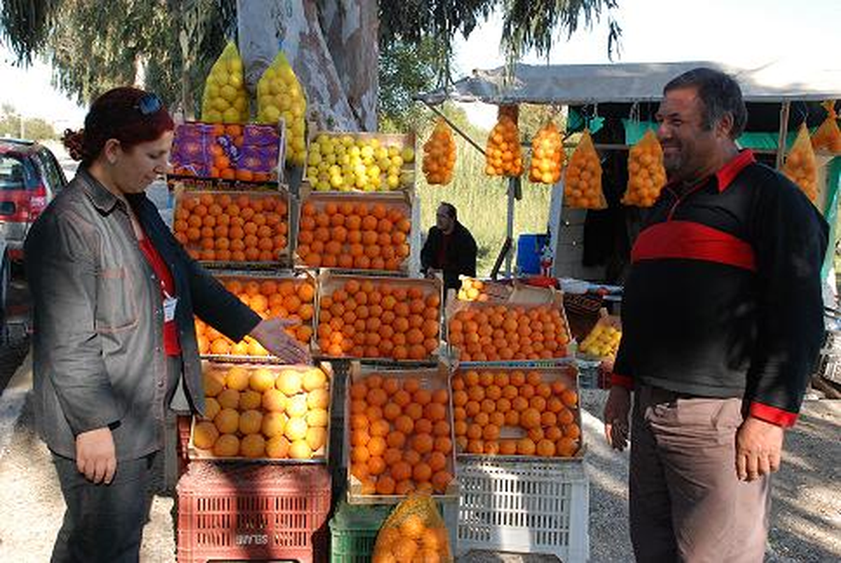 Turizm Acentelerinin Portakal Standı Talebi