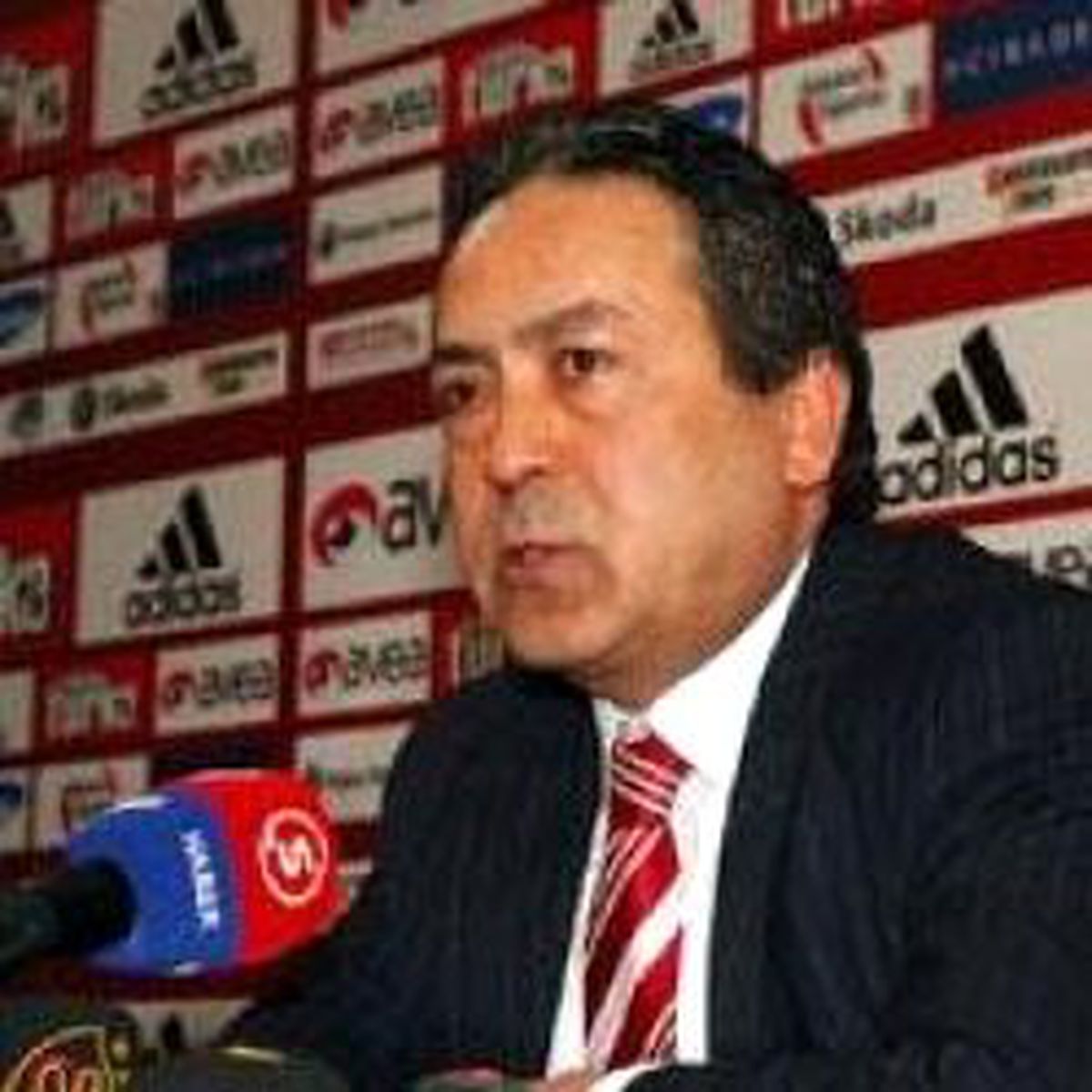 Sezgin: Fenerbahçe'yi Kutluyorum