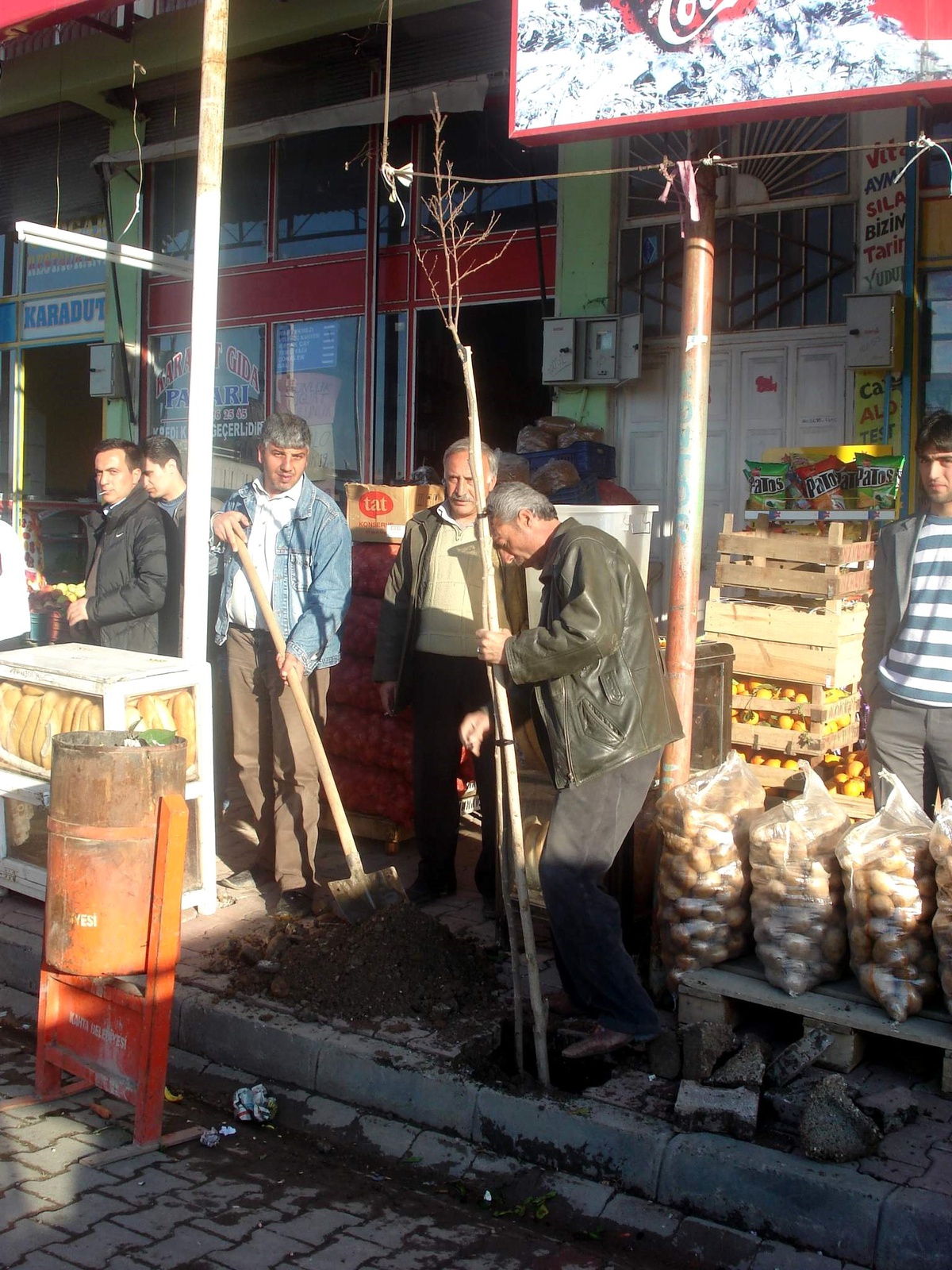 Kahta Belediyesi Ağaçlandırma Çalışması Başlattı