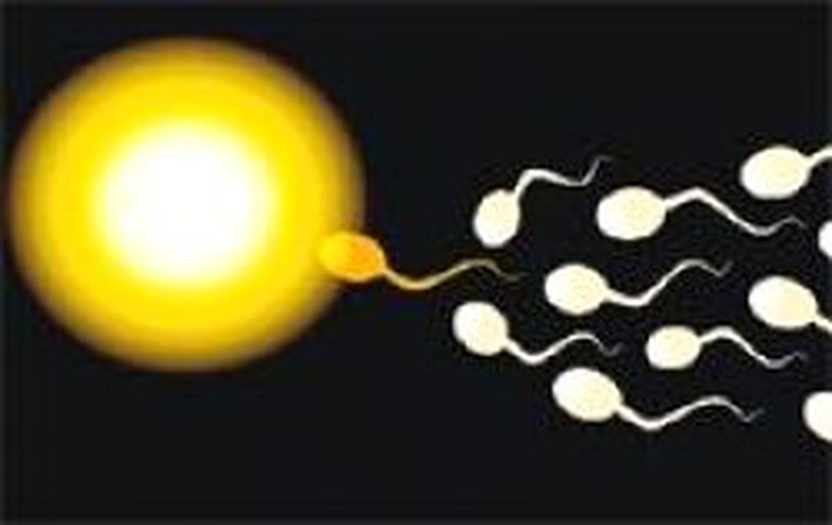 Ingiltere'de 'Yapay Sperm'le Cocuk Sahibi Olma Tartısması