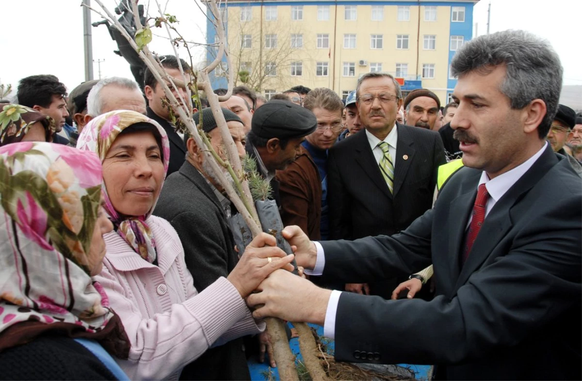 Bahşılı Belediyesi\'nden Fidan Dağıtımı Yapıldı