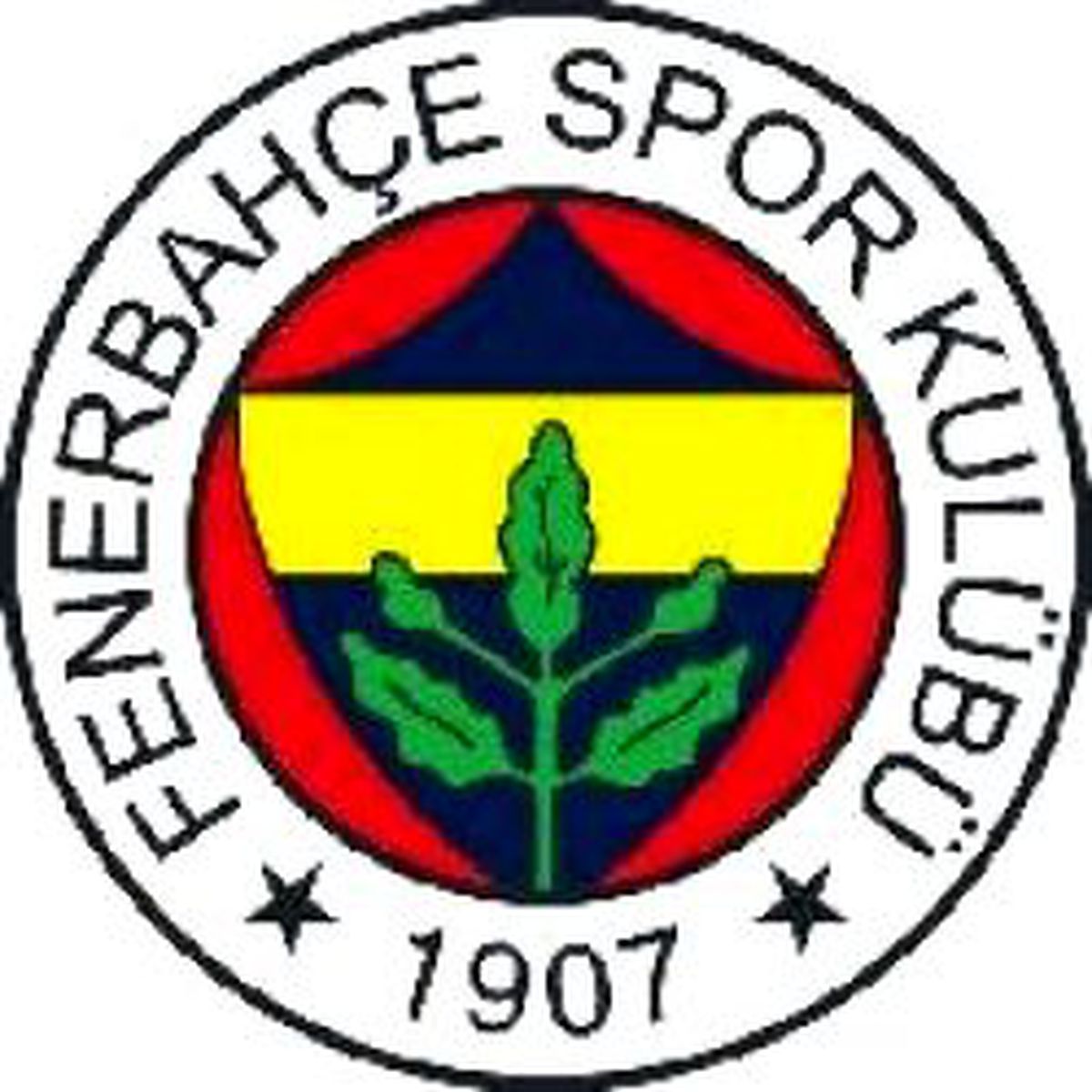 Kart Terapisi