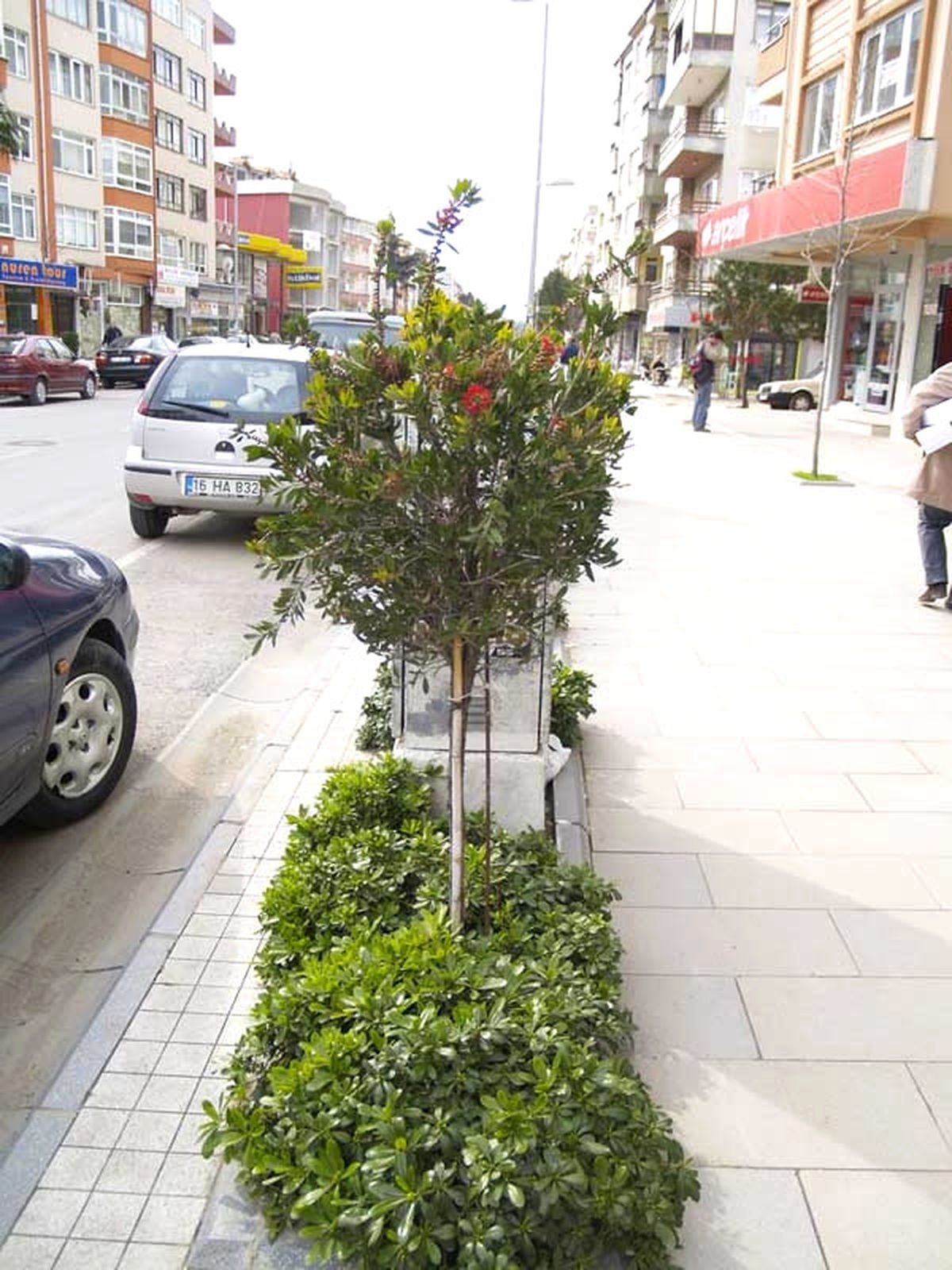 Yalova Çiçek Açacak