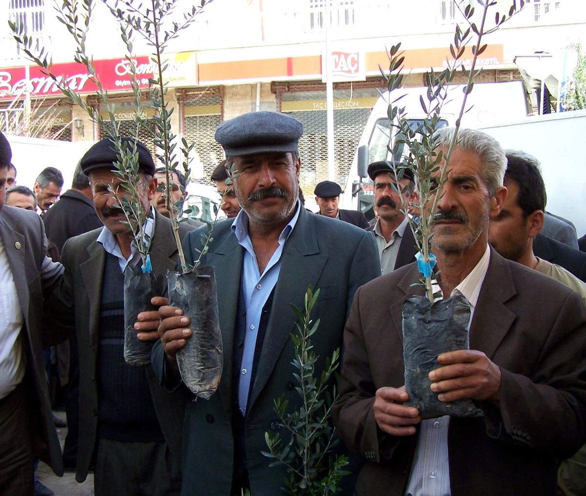 30 Bin Zeytin Fidanı Dağıtıldı