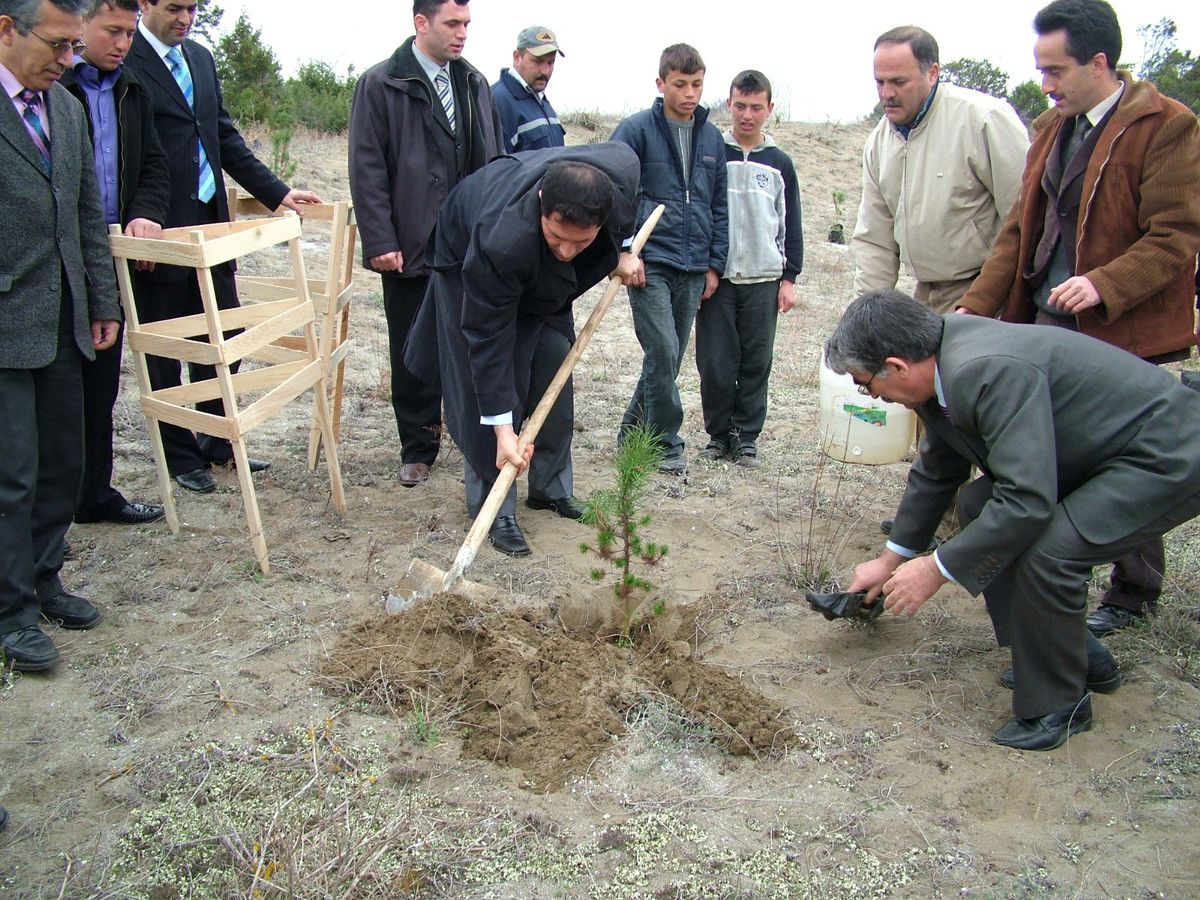 Alaçam'da 6 Bin Fidan Toprakla Buluşturuldu