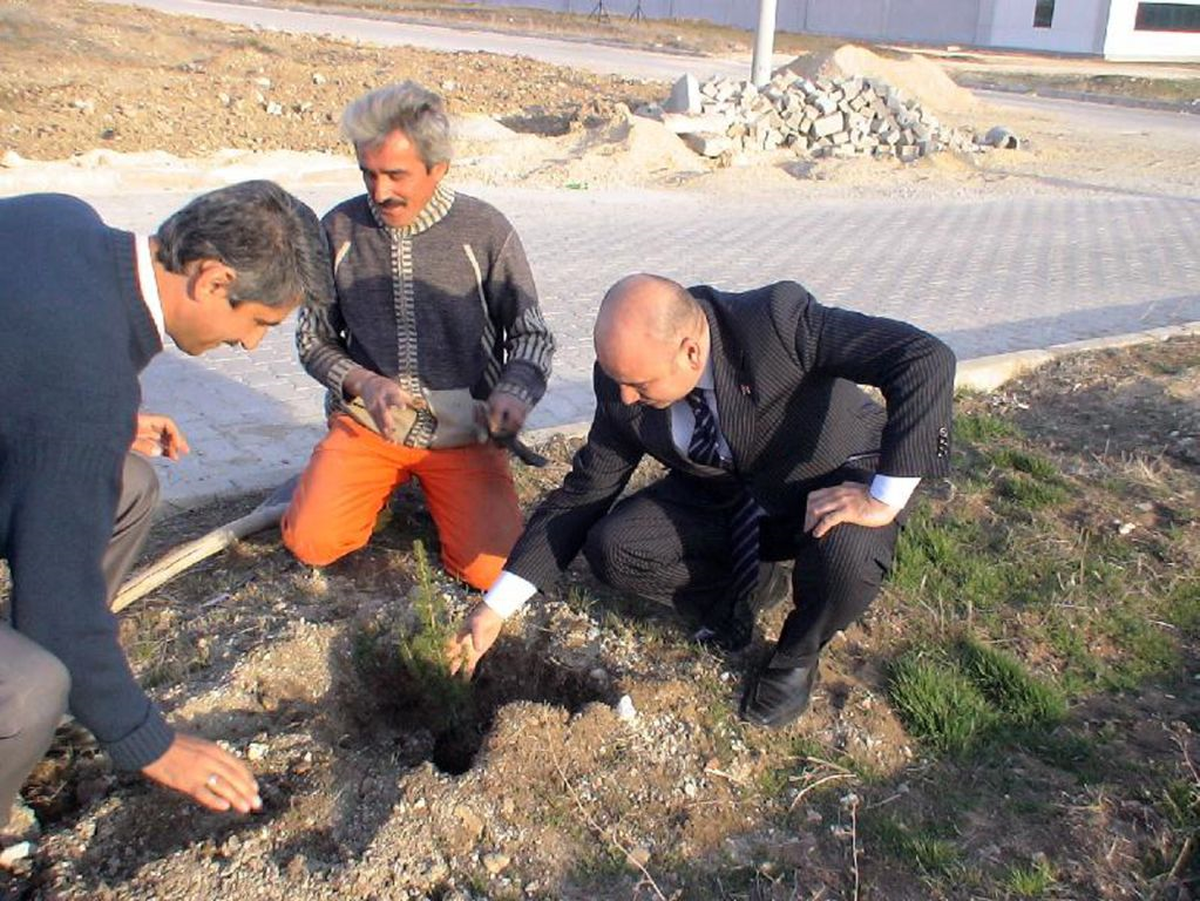Gediz Organize Sanayi Bölgesi Ağaçlandırılıyor