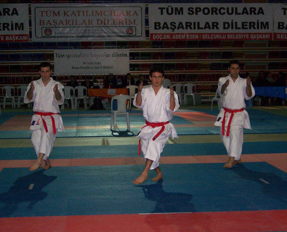 Minikler ve Yıldızlar Bay-bayan Karate Şampiyonası