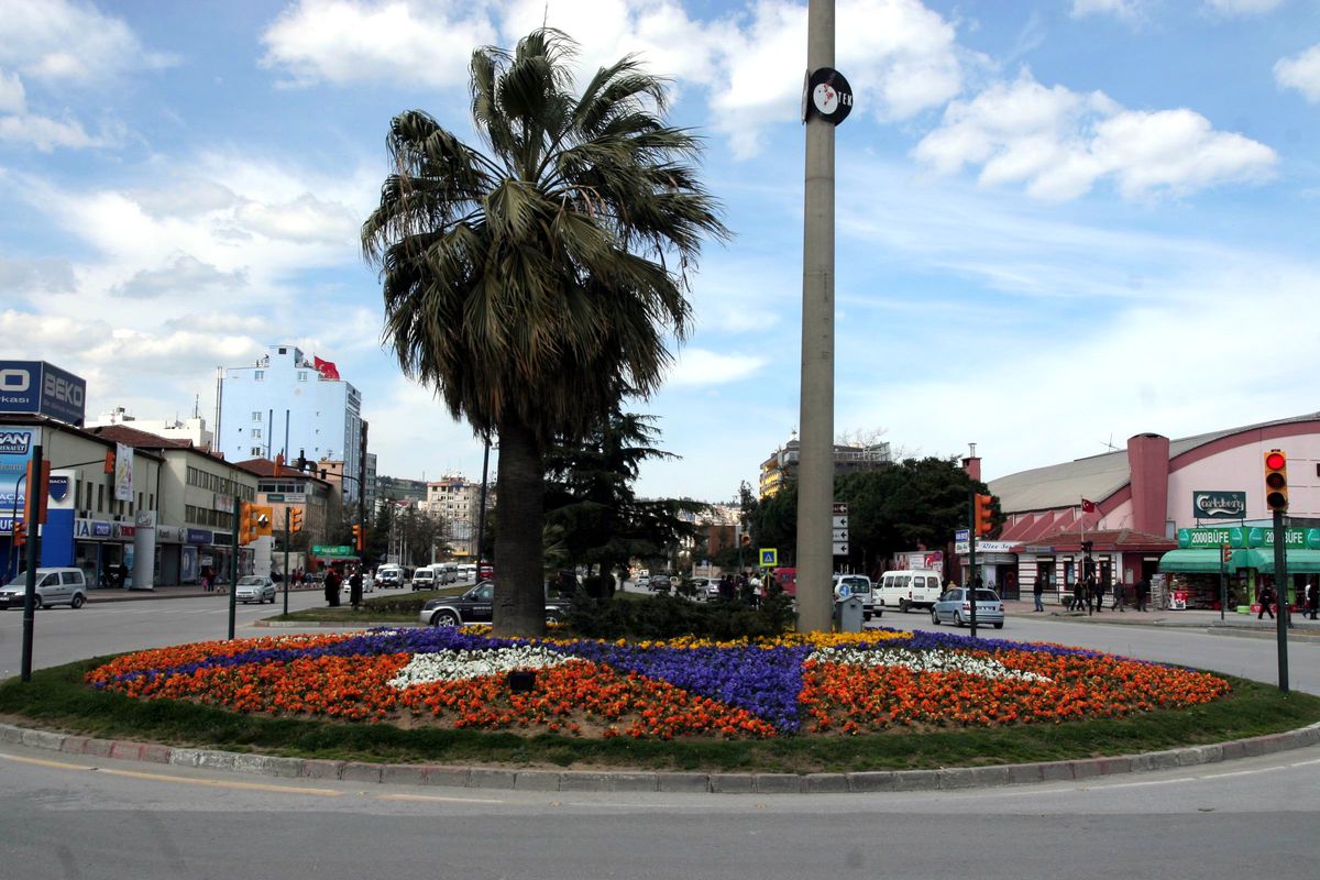 Samsun Çiçeklendi