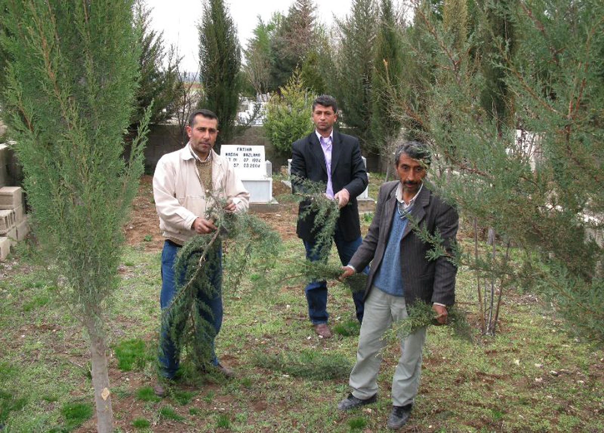 Şehit Kardeşinin Hayrına Mezarlıktaki Ağaçları Buduyor